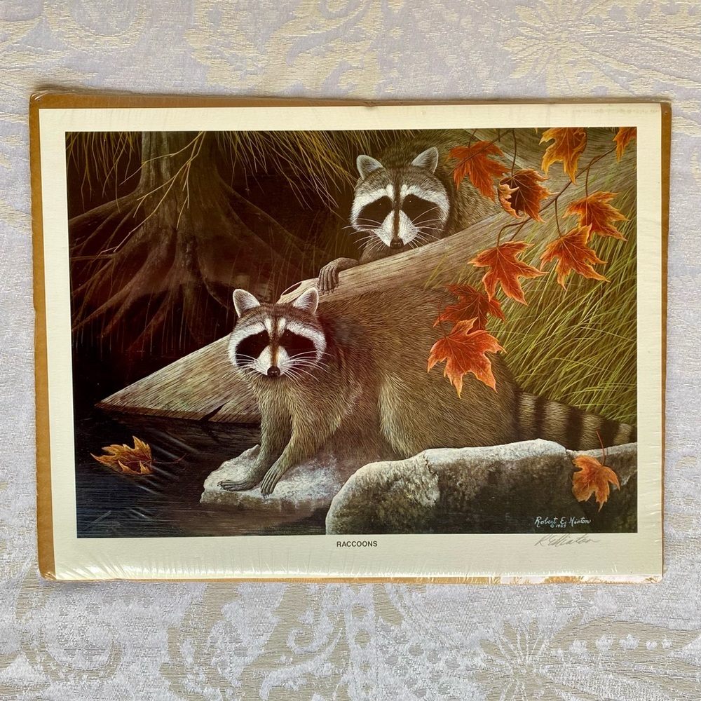 Raccoons Print by Robert E. Hinton